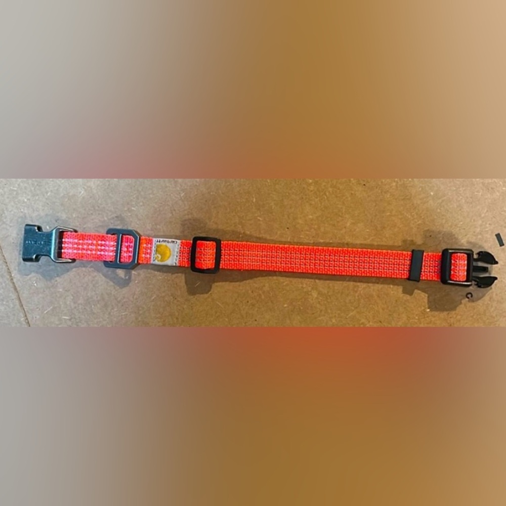 🐾 🐾 🧡LIKE NEW🧡BRIGHT HUNTER ORANGE DOG COLLAR 🐾🐾
